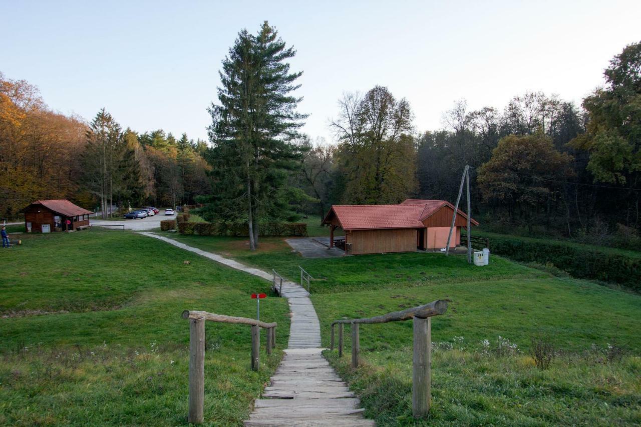 Holiday Home Janko Bogojina Екстериор снимка